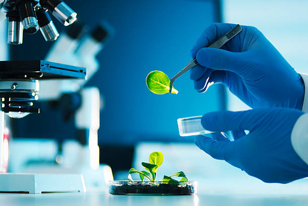 Biotech Website Thumbnail