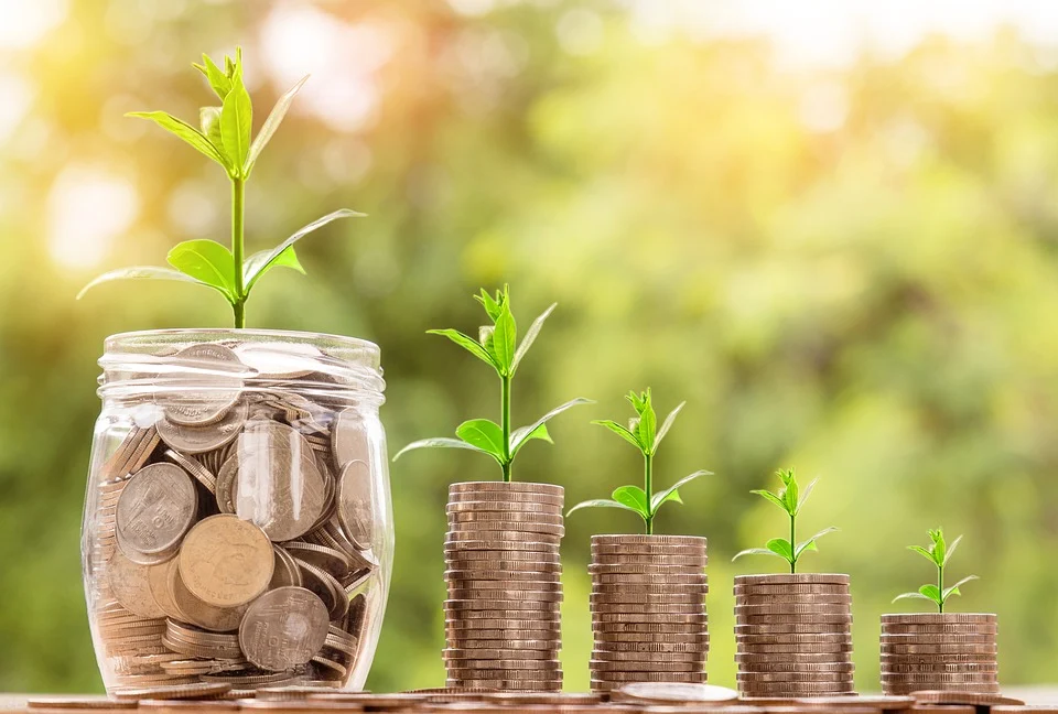 Princewise Financial Website Thumbnail