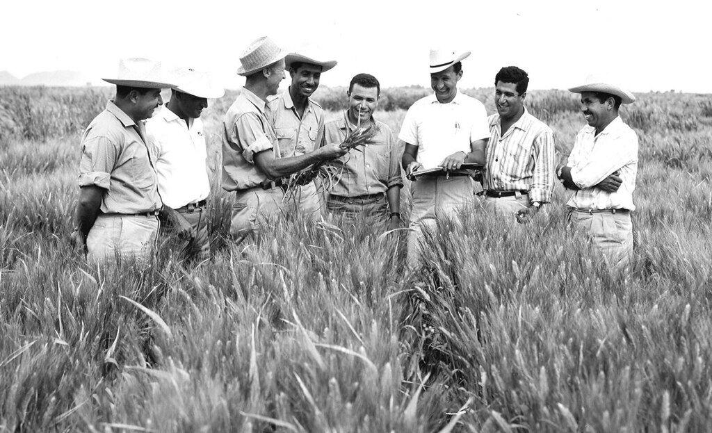 Dr. Norman Borlaug